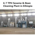 Paddy Trigo Sesame Funcho Chia Seed Processing Plant